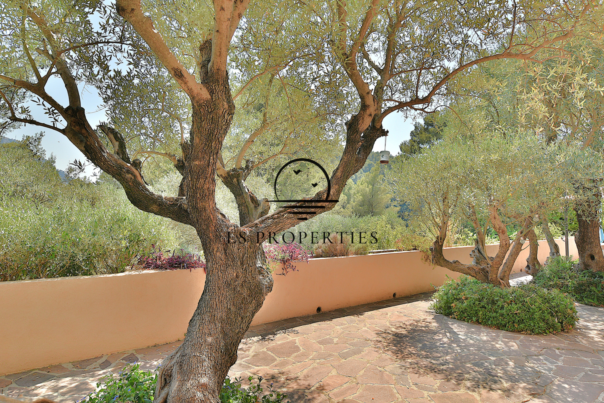 Image_, Maison, Le Revest-les-Eaux, ref :1465AA