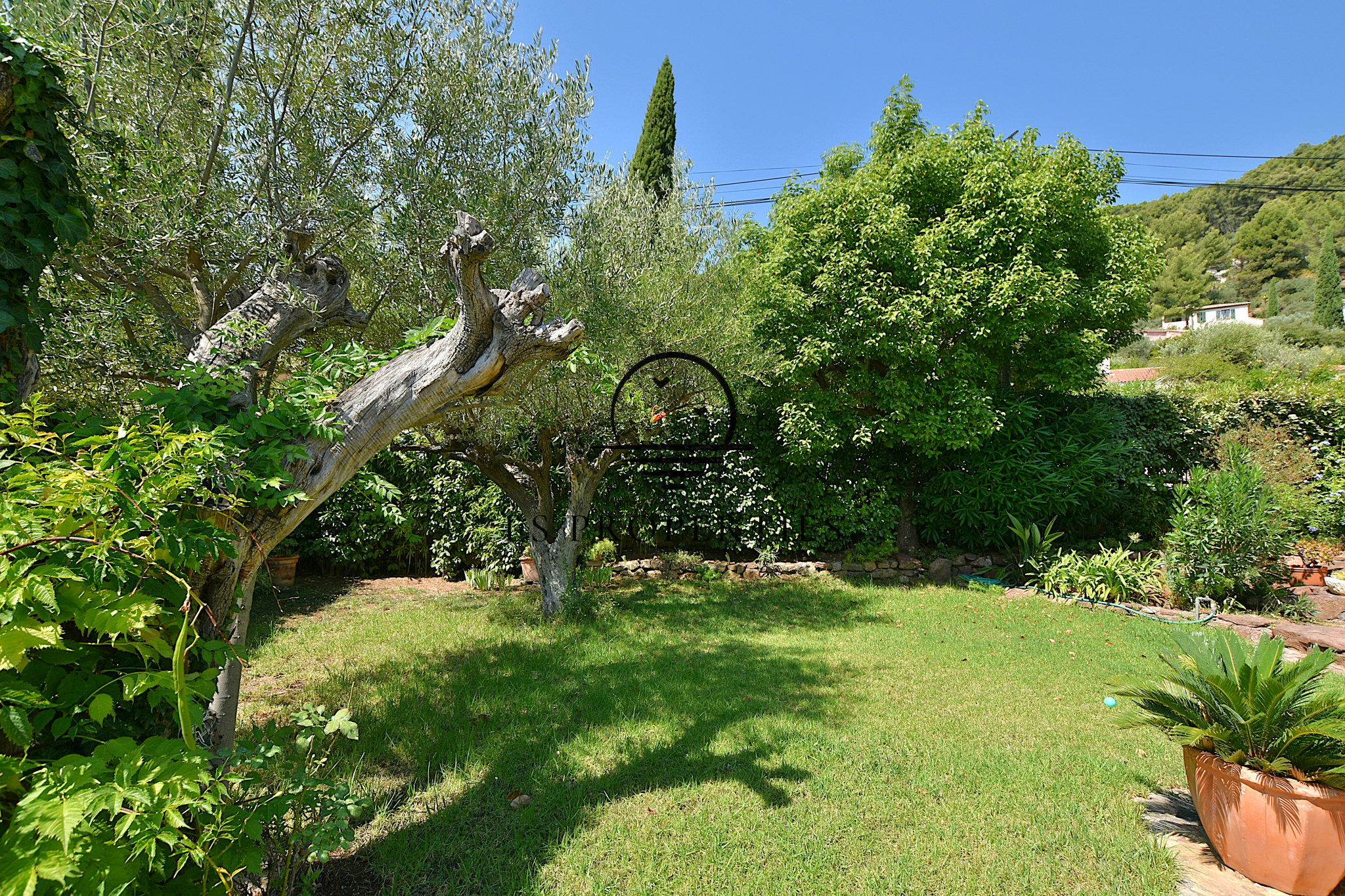 Image_, Villa, La Farlède, ref :1466
